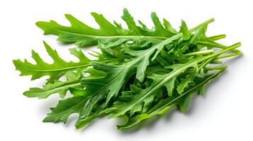 Bright Green Arugula Leaves on White Background photo