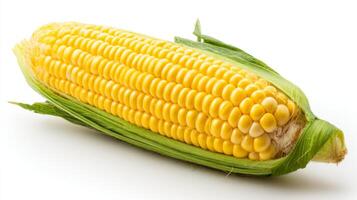 Bright Yellow Ear of Corn Isolated on White Background photo