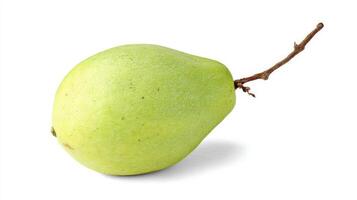 Single Crisp Green Chayote Isolated on White Background photo