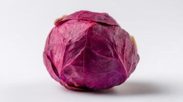 Closeup of a Single Crisp Purple Brussels Sprout on White Background photo