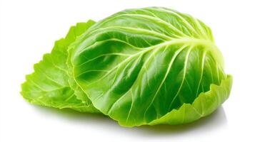 Single Closeup of Two Crisp Green Collard Leaves on White Background photo