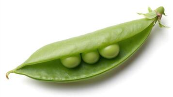 Crisp Green Sugar Snap Pea Pod Closeup on White Background photo