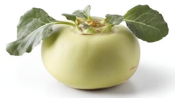 Crisp Green Kohlrabi Vegetable Isolated on White Background photo