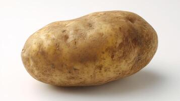 Single Fresh Brown Potato Isolated on White Background photo
