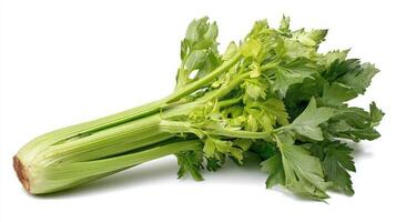 Fresh Green Celery Stalk Isolated on White Background photo