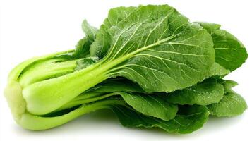 Fresh Green Bok Choy Isolated on White Background photo