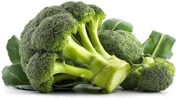 Fresh Green Broccoli Isolated on White Background photo