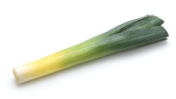 Fresh Green Leek Isolated on White Background photo