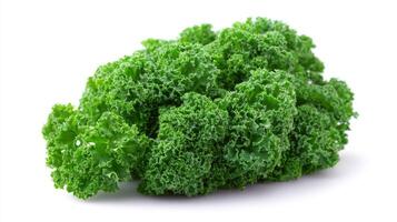 Fresh Green Kale Isolated on White Background photo