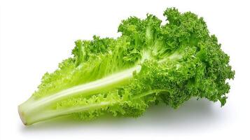 Fresh Green Lettuce Leaf Isolated on White Background photo