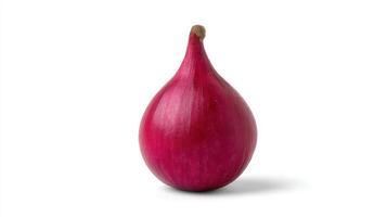 Fresh Purple Shallot Isolated on White Background photo