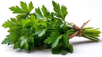 Fresh Green Parsley Bunch Isolated on White Background photo