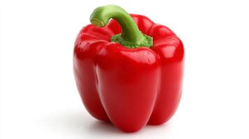 Plump Red Bell Pepper Isolated on White Background photo
