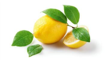 Fresh Yellow Lemon with Green Leaves on White Background photo
