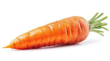Ripe Orange Carrot Isolated on White Background photo
