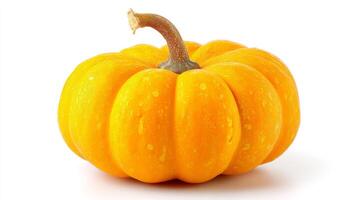 Small Orange Pumpkin Isolated on White Background photo