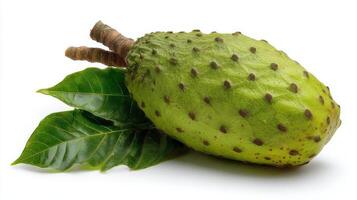 Closeup of a Fresh Green Soursop with Leaves on White Background photo