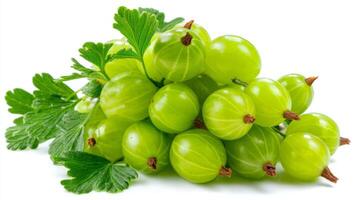 Closeup of Fresh Green Gooseberries with Leaves on White Background photo