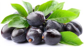 Closeup of Fresh Purple Damsons with Green Leaves on White Background photo