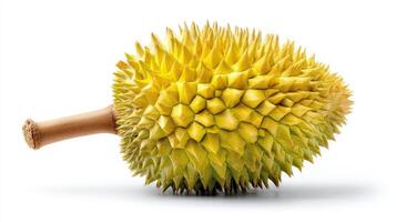 Fresh Yellow Durian Fruit Isolated on White Background photo