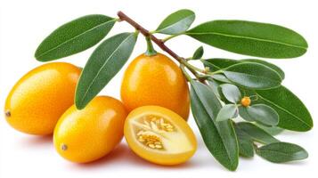 Ripe Yellow Kumquats with Green Leaves on White Background photo