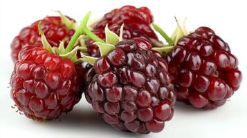Ripe Red and Purple Blackberry and Raspberry Cluster on White Background photo