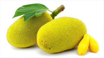 Ripe Yellow Jackfruits with Green Leaf on White Background photo