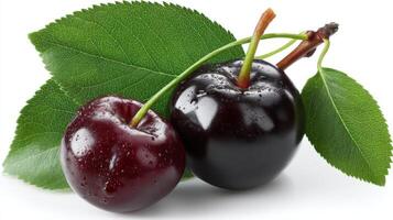Two Juicy Purple Chokeberries with Green Leaves on White Background photo