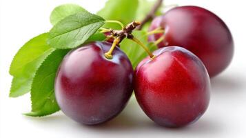 Three Ripe Red Plums with Green Leaves on White Background photo