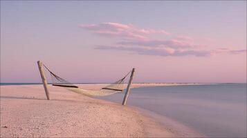 Serene Sunset Beach Hammock Scene Pink Sky, Calm Ocean, Peaceful Shore photo
