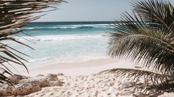 Idyllic Tropical Beach Scene Turquoise Water, White Sand, and Palm Trees photo