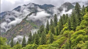 Misty Mountain Landscape With Lush Green Forest And Soft Rain photo