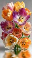 Vibrant bouquet of tulips in assorted colors displayed against a smooth background photo