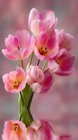 Vibrant pink tulips arranged beautifully in a vase, reflecting their colors against a soft background photo
