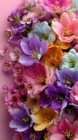 Bright and colorful flower arrangement on a soft pink background showcasing various blooms in springtime beauty photo