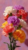 Colorful bouquet of carnations with various shades against a textured background in soft sunlight photo