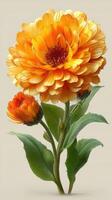 Bright orange flower bouquet showcasing vibrant petals and lush green leaves in natural light photo