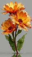 Vibrant orange flowers with droplets resting on petals in a serene setting photo