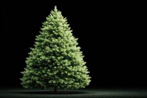 Lush evergreen tree standing alone with dark background creating a striking contrast in a tranquil setting photo