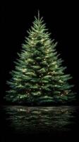 Christmas tree adorned with lights against a dark background creating a festive atmosphere during the holiday season photo