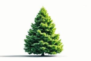 Lush green evergreen tree stands prominently against a white background capturing natural beauty and tranquility photo