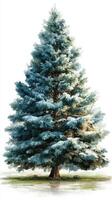 Snow-covered evergreen tree stands majestically in winter landscape creating a serene and peaceful atmosphere photo