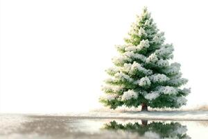 Snow-covered evergreen tree reflecting in calm water under a bright winter sky at midday in a serene landscape photo