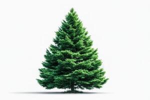 Lush evergreen tree stands prominently against a plain background showcasing its vibrant green foliage photo
