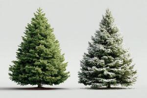 Green and snowy Christmas trees showcasing seasonal contrasts in a simple setting photo