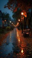 Autumn evening stroll along a tree-lined path illuminated by street lamps in a quiet, rainy park photo
