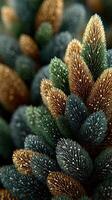 Colorful pine cone close-up showcasing vibrant hues and intricate textures of nature in a serene setting photo