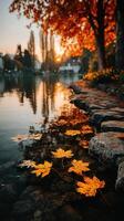 Autumn leaves reflect in calm water at sunset near trees by the lakeshore photo
