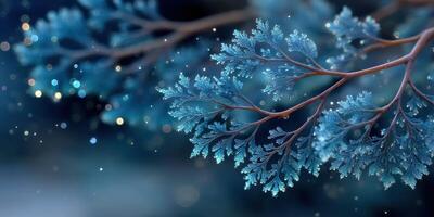 Frosty branches glisten under the soft glow of winter light in a tranquil forest setting photo