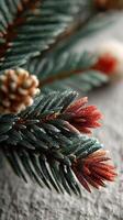 Detailed view of pine branches showcasing vibrant foliage and intricate textures in a natural setting photo